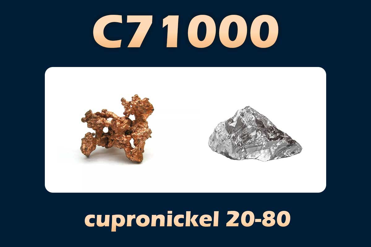 C71000