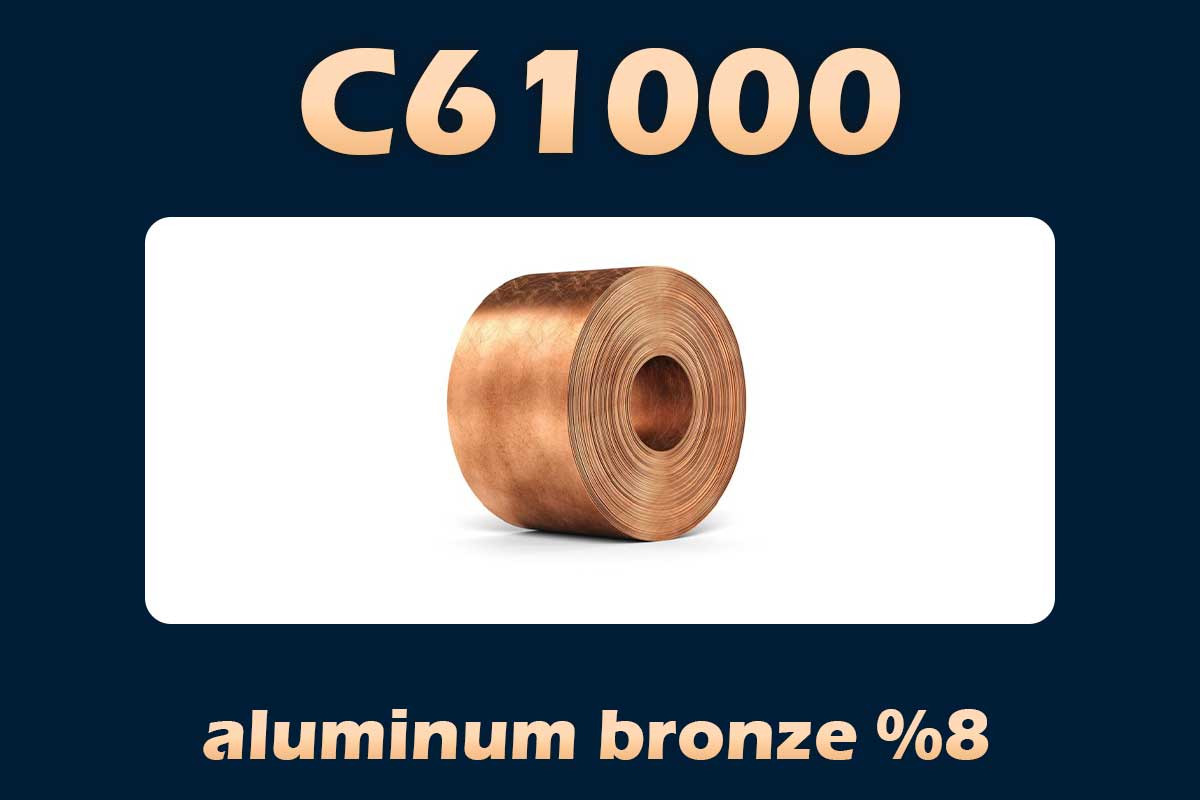 C61000