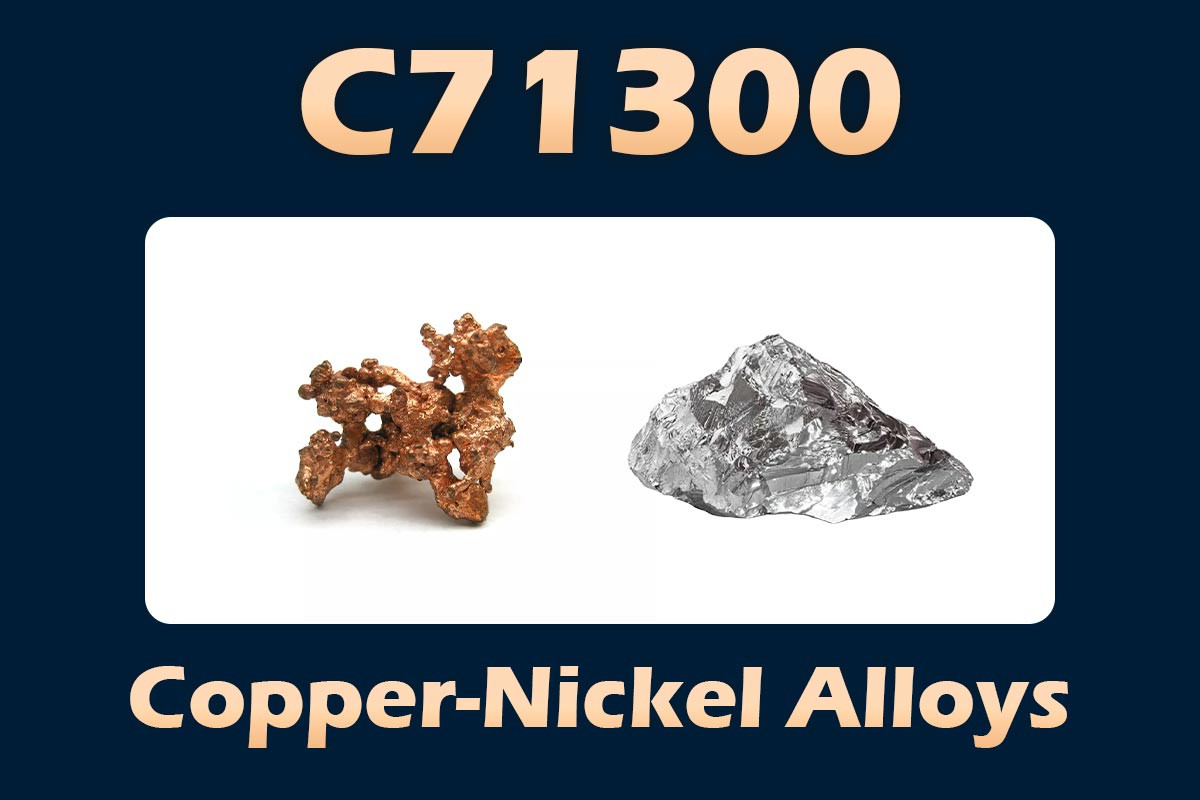 C71300