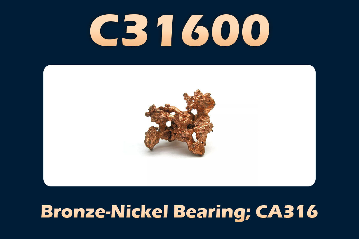 C31600