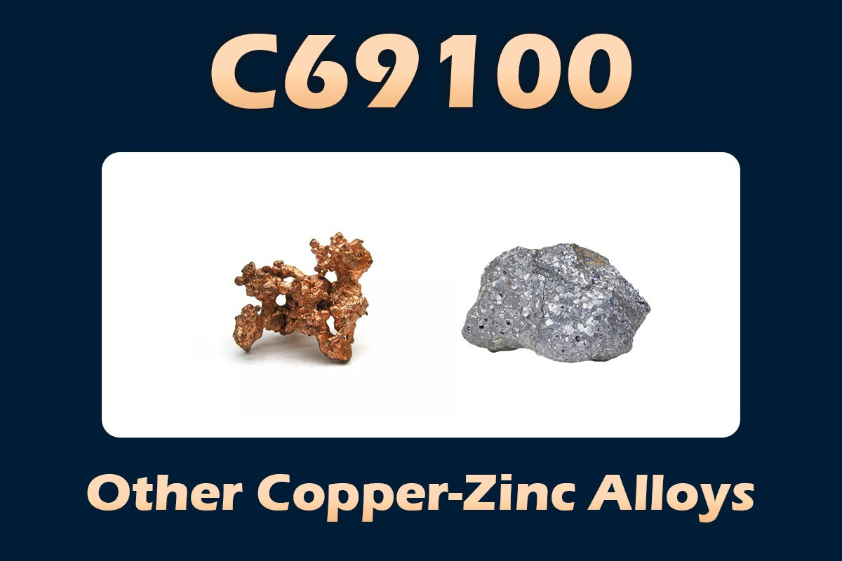 C69100