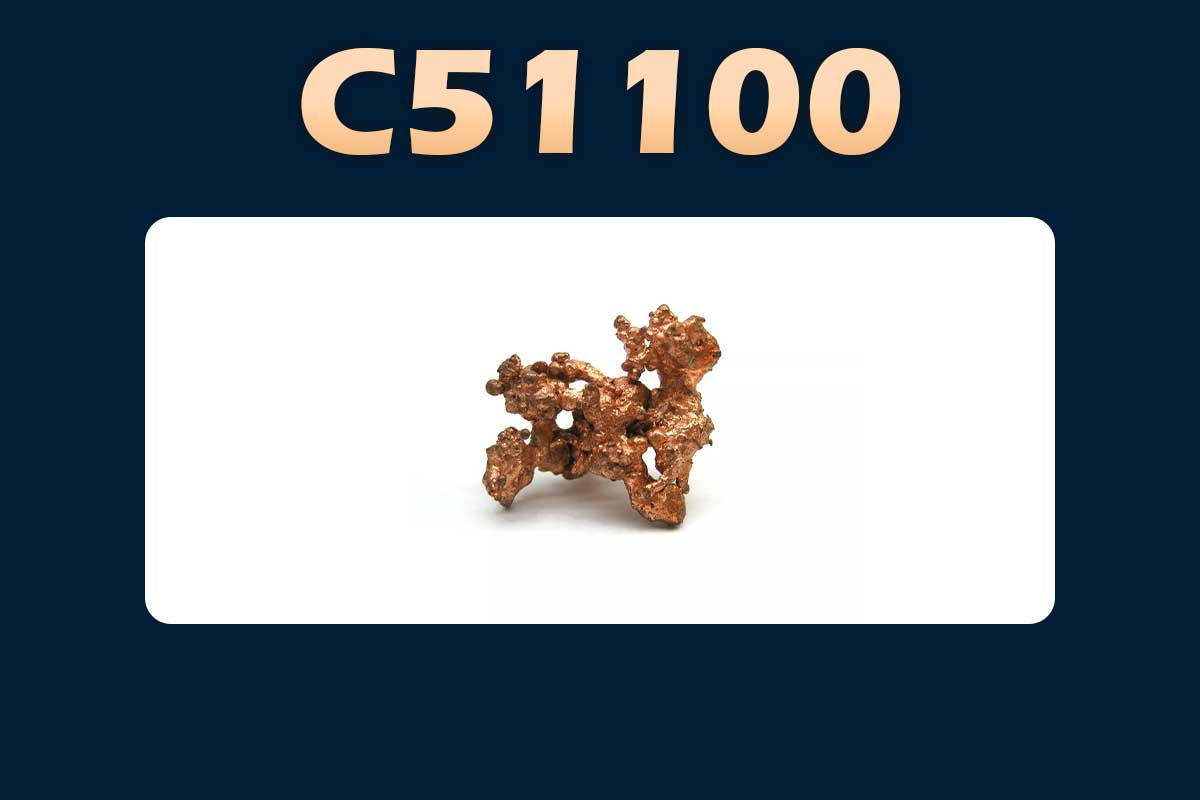 C51100