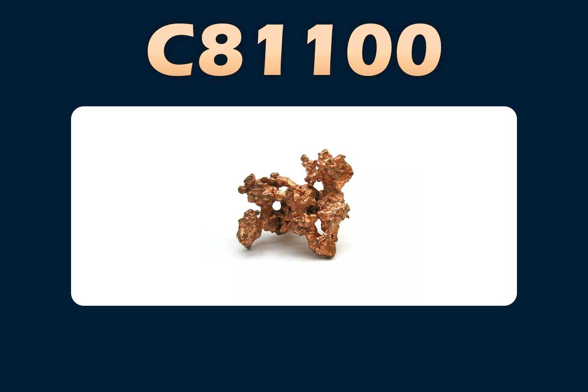 C81100