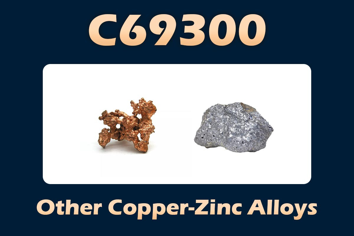 C69300
