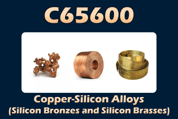 C65600