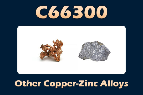 C66300