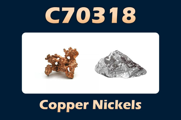C70318