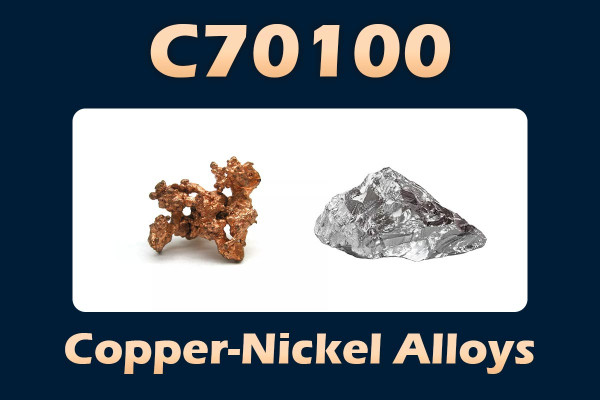 C70100