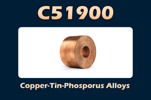 C51900