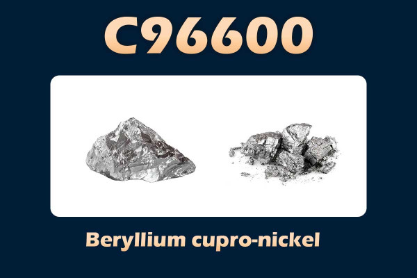 C96600