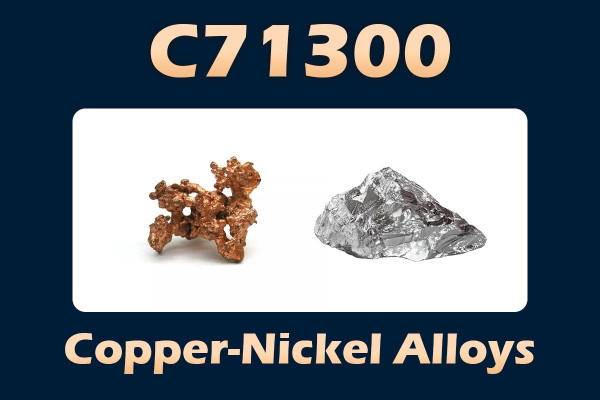 C71300