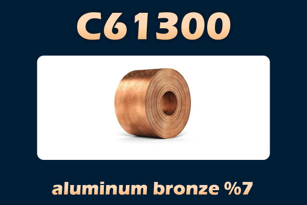 C61300