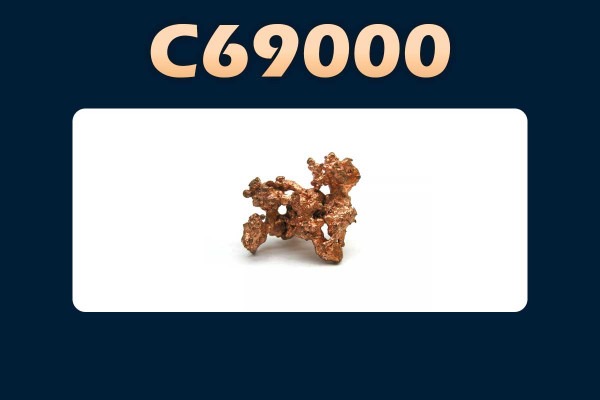 C69000