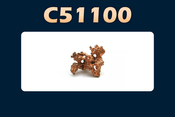 C51100